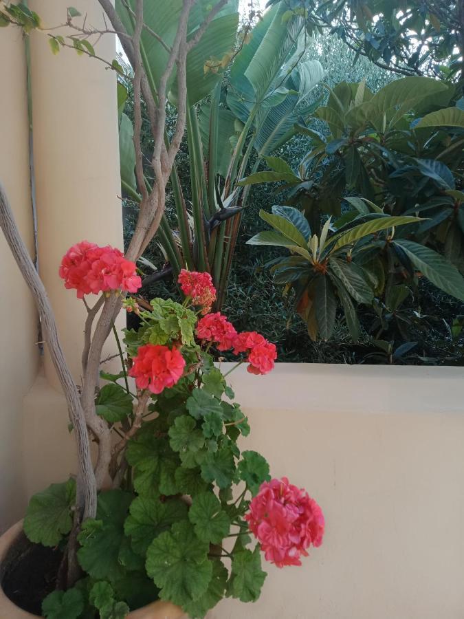 Riad Sahara Nour Marrakesh Esterno foto